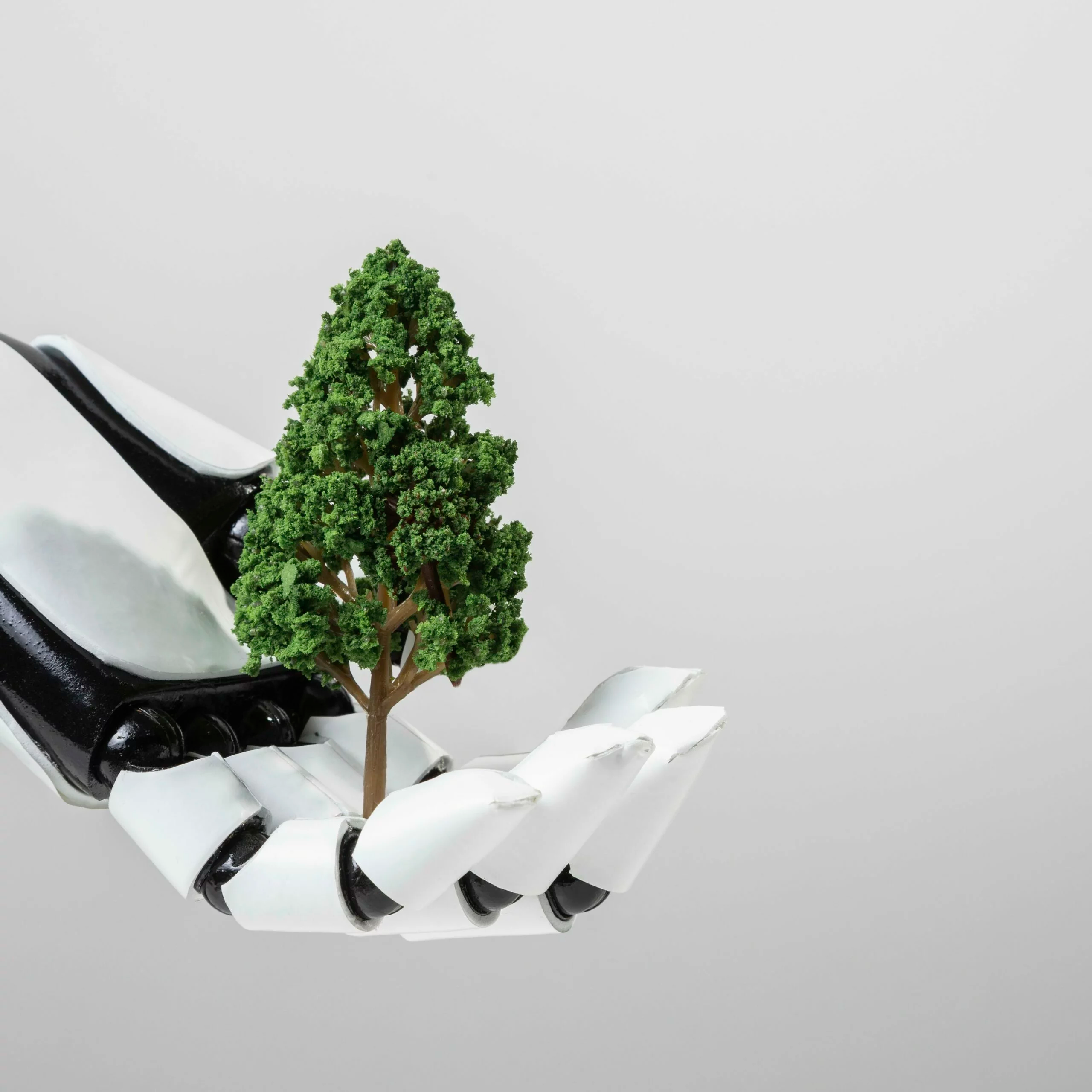  Sustainability Education